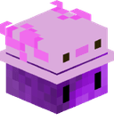 axo_5