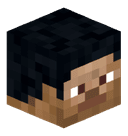 VNZ11