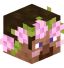 _uwh