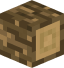 AsylumEXP