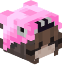 miocpvp