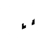aplixity