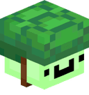 TurtleSpaghetti