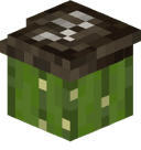 arasearas