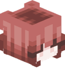 yourAminecraft