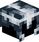 MasterScout900