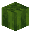 BnCucumber