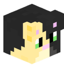 DMDev