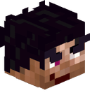 EvDoc