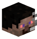 RoboTripp