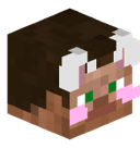 NTLehrer