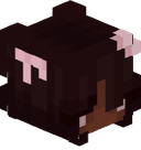 Bean_koala