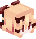 S4raXMC