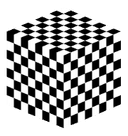 brn_crz