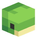 Turtleshui
