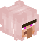 WinowsXP