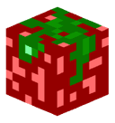 qDizix