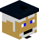 FR4NS9803