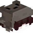 LSR