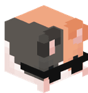 RaiTheCat