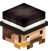 Unbans
