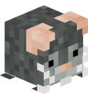 Svenvan