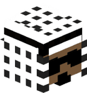 Kauan13X