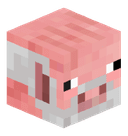 DMWmini