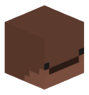 ClodsireX