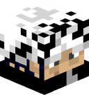 Mod_8