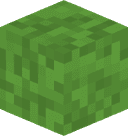 _2Dwasabi