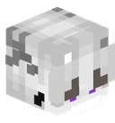 _Skyonix