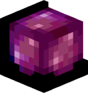 DoubleToaster41