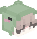 relaxing_turtle