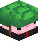 Dakojiii
