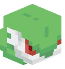 sapacheco