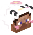 ZapatoSs_