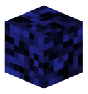 Noah2345765