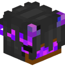 vortexedz