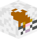 Cooki_e19