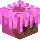 ssscout