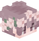 dsaip