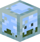 CoolCoconut38