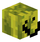 fgvt