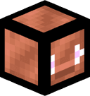 COPPERHUBI