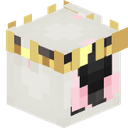 hamterr