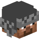 Zille_11