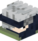 Strix1405