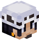 xP529