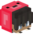 HackSolo
